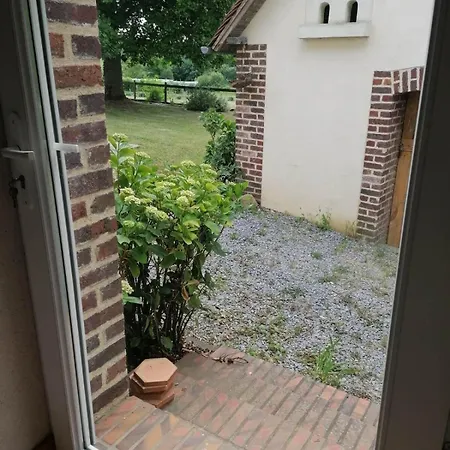 Des Anes Oizé